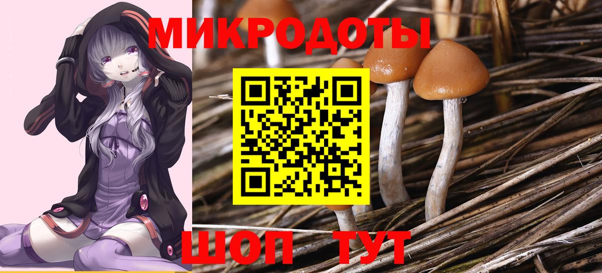 Канаш  Псилоцибиновые грибы мицелий  Вход с VPN 